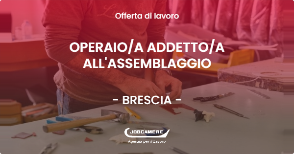 OFFERTA LAVORO - OPERAIO/A ADDETTO/A ALL'ASSEMBLAGGIO - BRESCIA (BS)