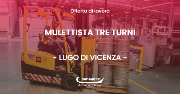 OFFERTA LAVORO - MULETTISTA TRE TURNI - LUGO DI VICENZA