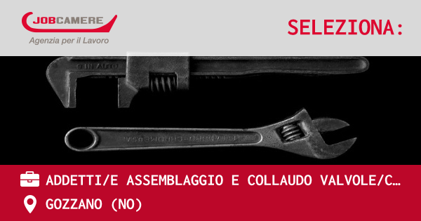 OFFERTA LAVORO - ADDETTI/E ASSEMBLAGGIO E COLLAUDO VALVOLE/COLLETTORI - GOZZANO (NO)
