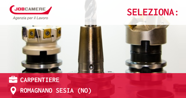 OFFERTA LAVORO - CARPENTIERE - ROMAGNANO SESIA (NO)