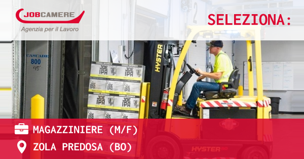 OFFERTA LAVORO - Magazziniere (M/F) - ZOLA PREDOSA (BO)
