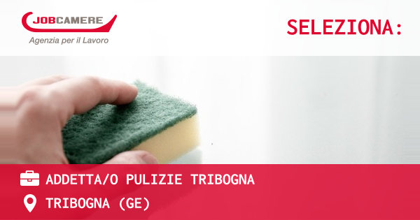 OFFERTA LAVORO - ADDETTA/O PULIZIE TRIBOGNA - TRIBOGNA (GE)