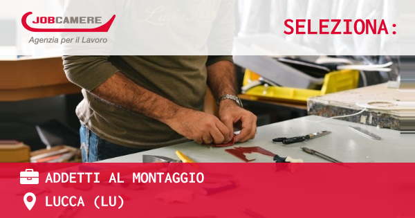 OFFERTA LAVORO - ADDETTI AL MONTAGGIO - LUCCA (LU)
