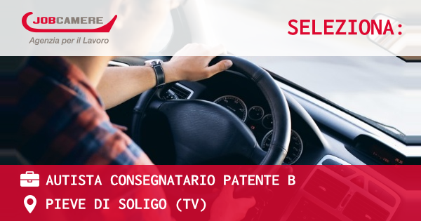 OFFERTA LAVORO - Autista consegnatario patente B - PIEVE DI SOLIGO (TV)