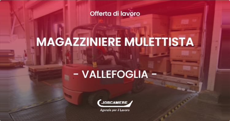 OFFERTA LAVORO - MAGAZZINIERE MULETTISTA - VALLEFOGLIA (PU)