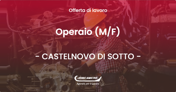 OFFERTA LAVORO - Operaio (MF) - CASTELNOVO DI SOTTO