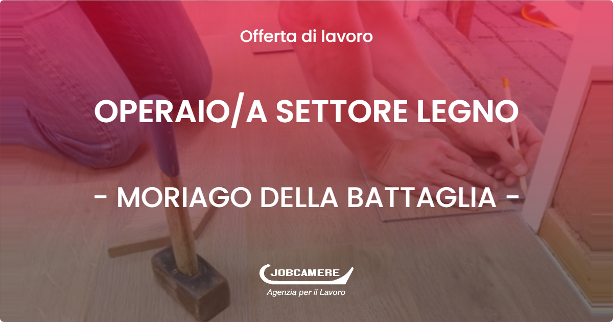 OFFERTA LAVORO - OPERAIO/A SETTORE LEGNO - MORIAGO DELLA BATTAGLIA (TV)