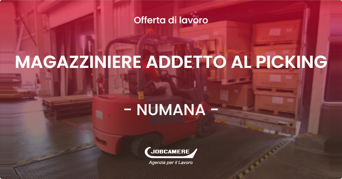 OFFERTA LAVORO - MAGAZZINIERE ADDETTO AL PICKING - NUMANA (AN)