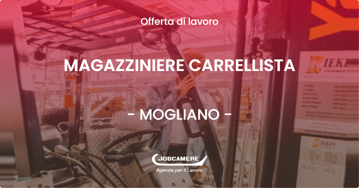 OFFERTA LAVORO - MAGAZZINIERE CARRELLISTA - MOGLIANO (MC)