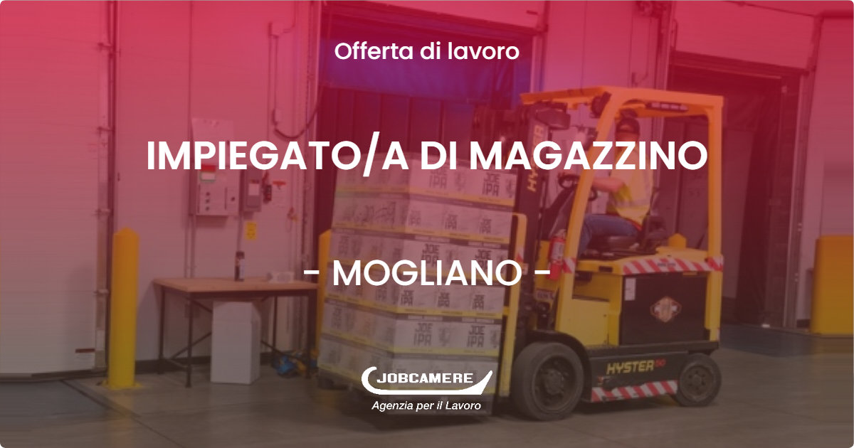 OFFERTA LAVORO - IMPIEGATO/A DI MAGAZZINO - MOGLIANO (MC)