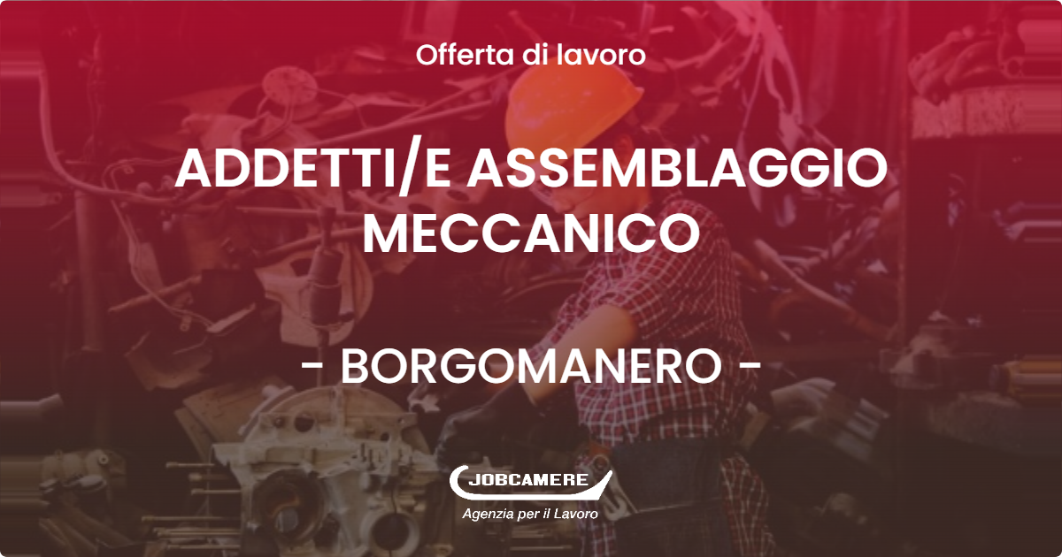 OFFERTA LAVORO - ADDETTI/E ASSEMBLAGGIO MECCANICO - BORGOMANERO (NO)