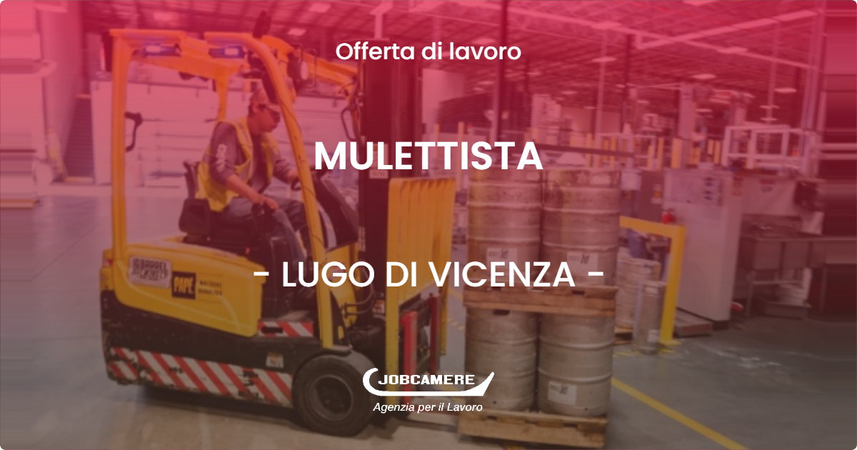 OFFERTA LAVORO - MULETTISTA - LUGO DI VICENZA (VI)