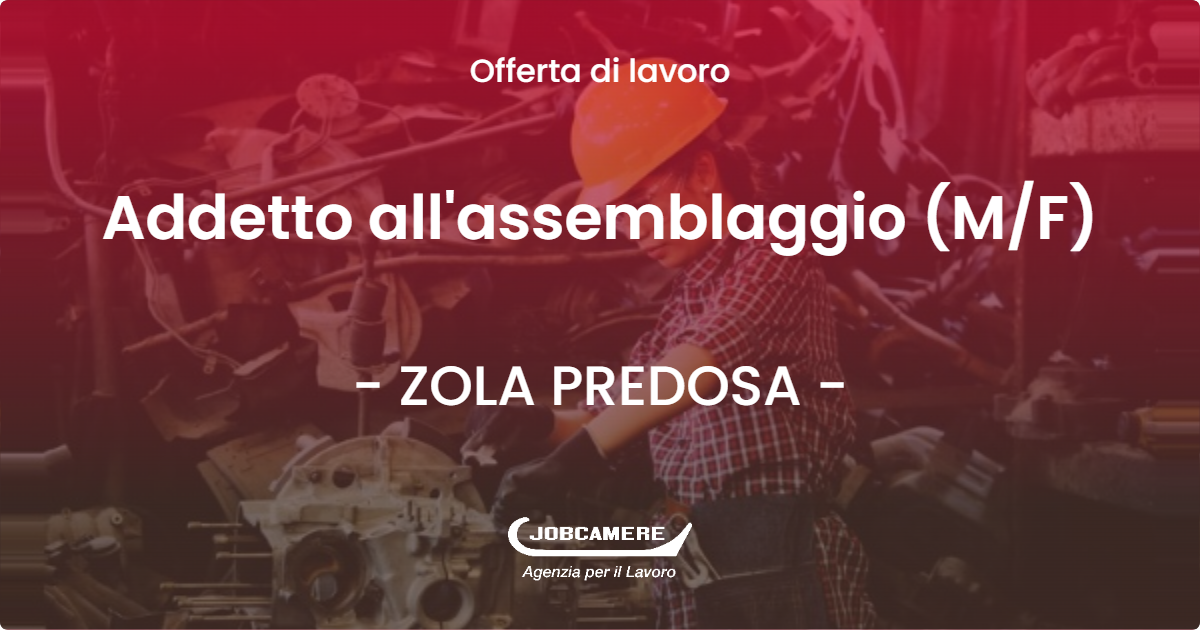 OFFERTA LAVORO - Addetto all'assemblaggio (M/F) - ZOLA PREDOSA (BO)