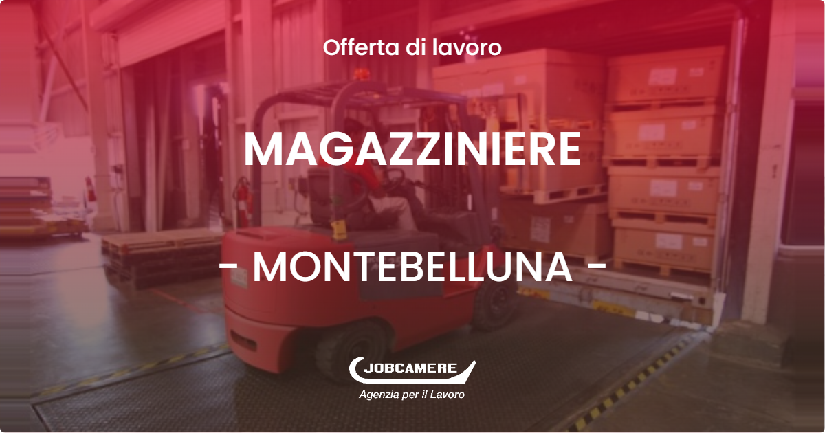 OFFERTA LAVORO - MAGAZZINIERE - MONTEBELLUNA (TV)