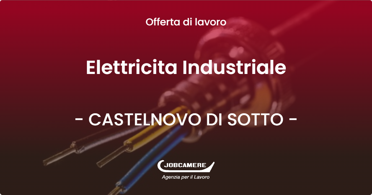 OFFERTA LAVORO - Elettricita Industriale - CASTELNOVO DI SOTTO (RE)