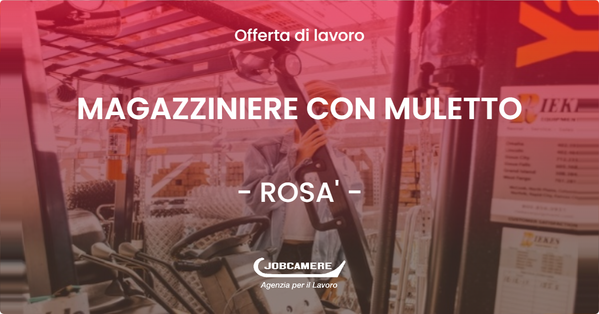 OFFERTA LAVORO - MAGAZZINIERE CON MULETTO - ROSA' (VI)