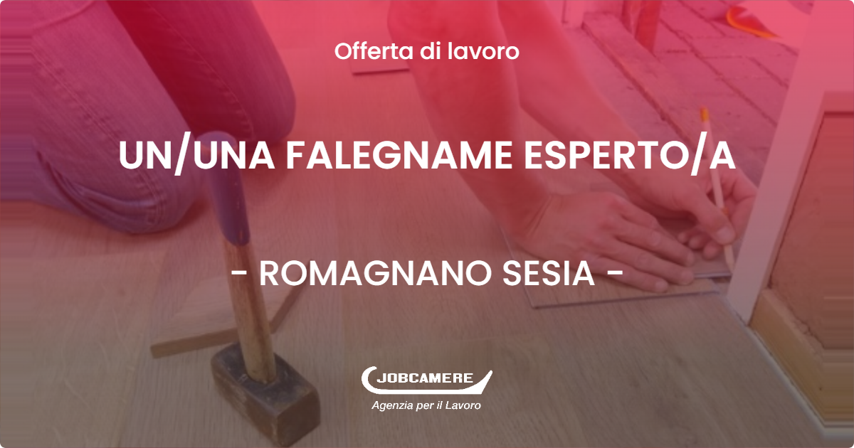 OFFERTA LAVORO - UNUNA FALEGNAME ESPERTOA - ROMAGNANO SESIA (NO)