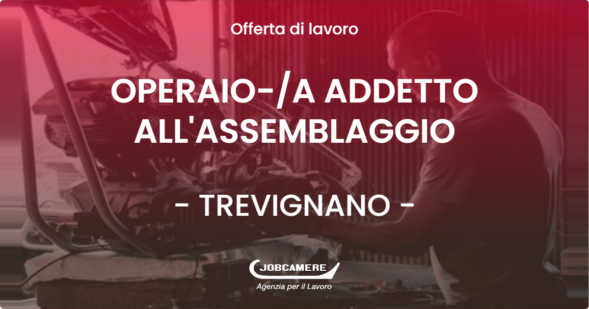 OFFERTA LAVORO - OPERAIO-A ADDETTO ALL'ASSEMBLAGGIO - TREVIGNANO (TV)