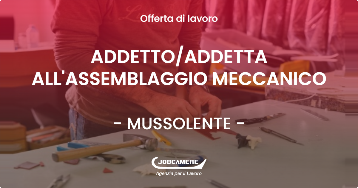 OFFERTA LAVORO - ADDETTOADDETTA ALL'ASSEMBLAGGIO MECCANICO - MUSSOLENTE (VI)