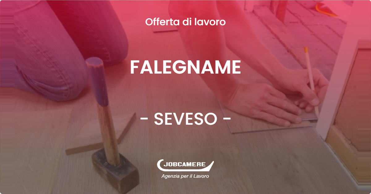 OFFERTA LAVORO - FALEGNAME - SEVESO (MB)
