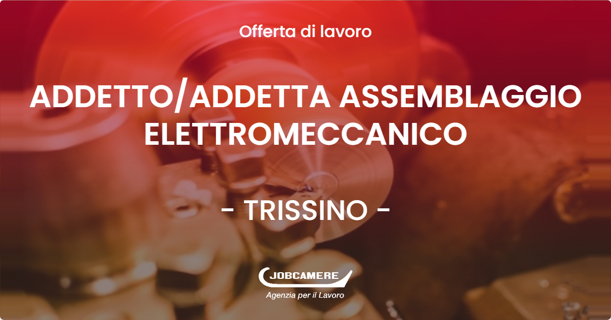 OFFERTA LAVORO - ADDETTO/ADDETTA ASSEMBLAGGIO ELETTROMECCANICO - TRISSINO (VI)