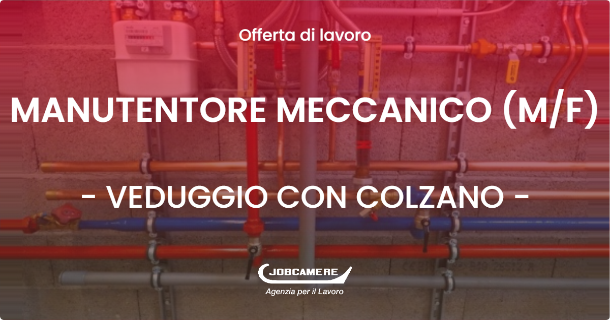 OFFERTA LAVORO - MANUTENTORE MECCANICO (M/F) - VEDUGGIO CON COLZANO (MB)