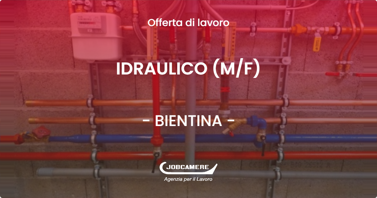 OFFERTA LAVORO - IDRAULICO (M/F) - BIENTINA (PI)