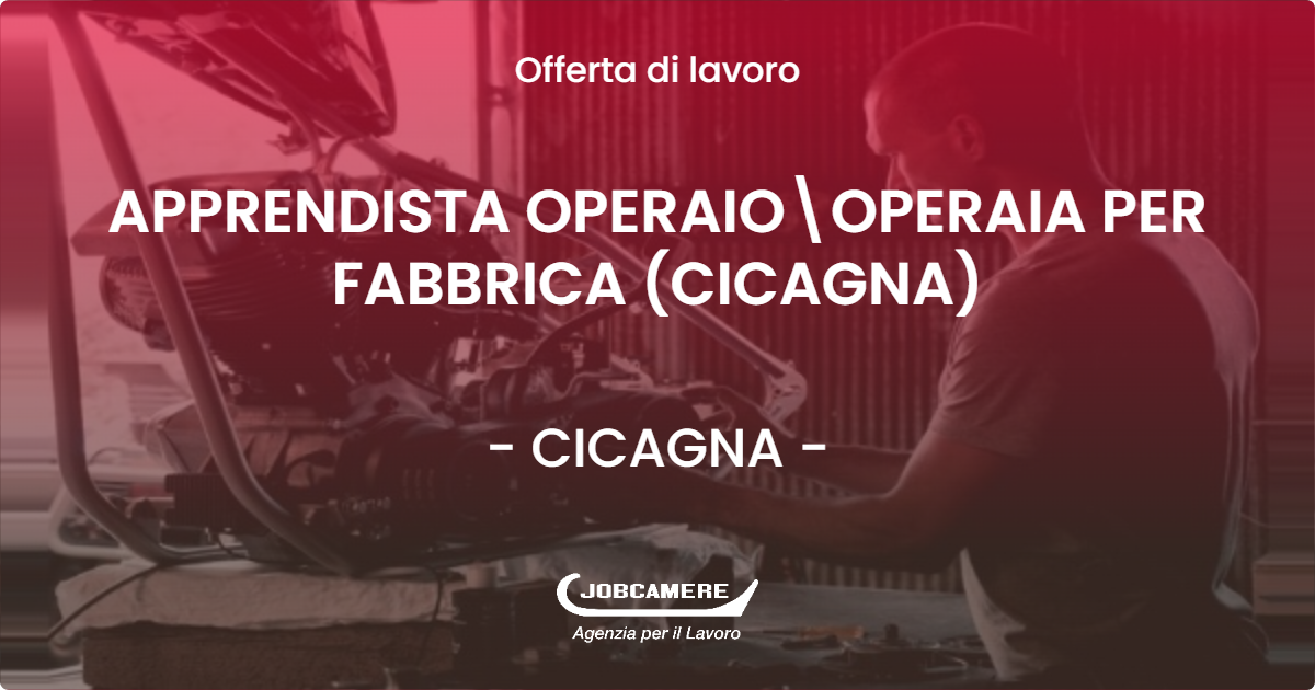 OFFERTA LAVORO - APPRENDISTA OPERAIO\OPERAIA  PER FABBRICA (CICAGNA) - CICAGNA (GE)