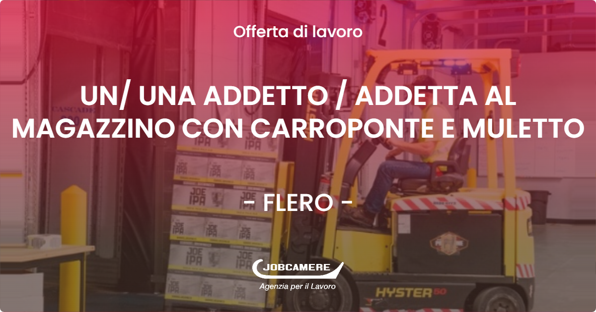 OFFERTA LAVORO - UN/ UNA ADDETTO / ADDETTA AL MAGAZZINO CON CARROPONTE E MULETTO - FLERO (BS)