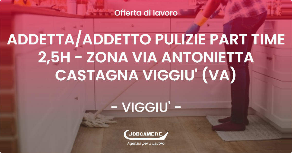 OFFERTA LAVORO - ADDETTA/ADDETTO PULIZIE PART TIME 2,5H - ZONA VIA ANTONIETTA CASTAGNA VIGGIU' (VA) - VIGGIU' (VA)