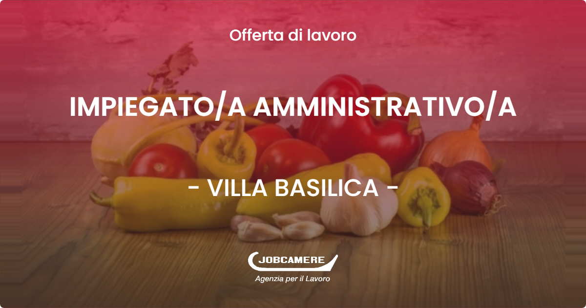 OFFERTA LAVORO - IMPIEGATO/A AMMINISTRATIVO/A - VILLA BASILICA (LU)