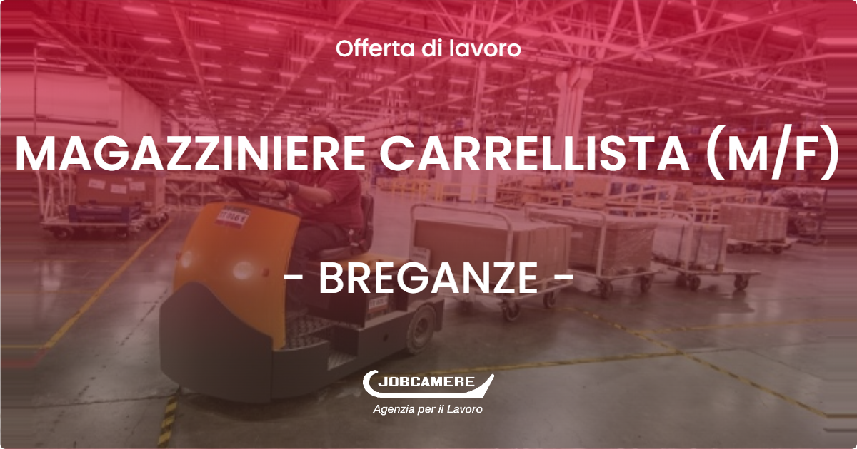 OFFERTA LAVORO - MAGAZZINIERE CARRELLISTA (M/F) - BREGANZE (VI)