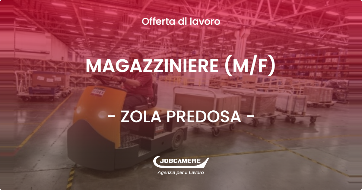 OFFERTA LAVORO - MAGAZZINIERE (M/F) - ZOLA PREDOSA (BO)