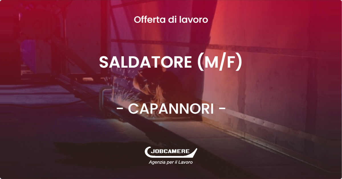 OFFERTA LAVORO - SALDATORE (M/F) - CAPANNORI (LU)