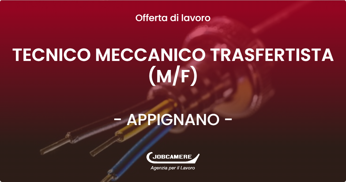 OFFERTA LAVORO - TECNICO MECCANICO TRASFERTISTA (MF) - APPIGNANO